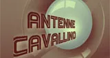 Antenne Cavallino Antenne Cavallino