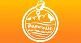 Popwelle. Das Musikradio
