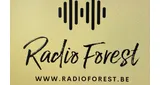 Radio Forest