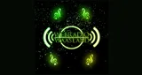 WebRadio-Waasland