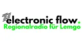 ElectronicFlow.Radio ElectronicFlow.Radio
