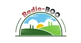 Radio-BOO Radio-BOO