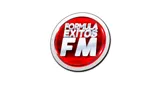 Fórmula éxitos