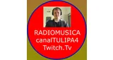 canalTULIPA4 canalTULIPA4