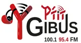 P'tit Gibus FM P'tit Gibus FM