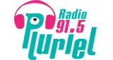Radio Pluriel FM Radio Pluriel FM