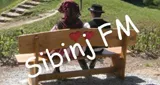 Sibinj Hits FM Sibinj Hits FM
