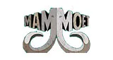 Mammoet FM Mammoet FM