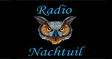 Radionachtuil