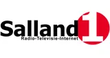 Salland1