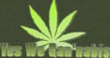 Yes We Cannabis Yes We Cannabis