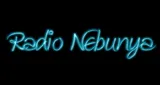 Radio Nebunya