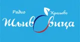 Radio Šljivovica