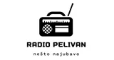 Radio Pelivan Radio Pelivan