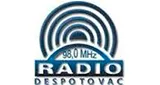 Radio Puls Radio Puls