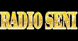 Radio Seni Radio Seni