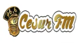 Cesur FM Cesur FM