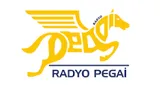 Radyo Pegai Radyo Pegai