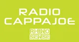 Radio Cappajoe - Rihno Sense