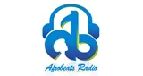 Afro Beats Afro Beats