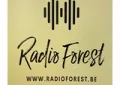 Radio Forest