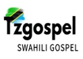 Tzgospel Radio (Belgium) Tzgospel Radio (Belgium)