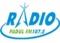 Radio Padul Fm Radio Padul Fm