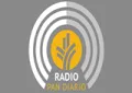 Radio Pan Diario Radio Pan Diario