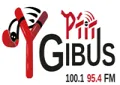 P'tit Gibus FM P'tit Gibus FM