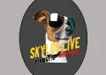 Skylos live radio