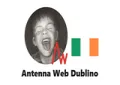 Antenna Web Dublino Antenna Web Dublino