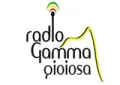Radio Gamma Gioiosa Radio Gamma Gioiosa