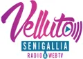 Radio Velluto