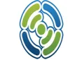 B-FM B-FM