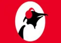 Pinguin Radio Pinguin Radio
