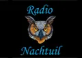 Radionachtuil Radionachtuil