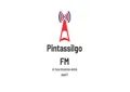 Pintassilgo V