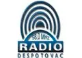 Radio Puls Radio Puls