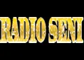 Radio Seni