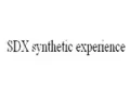 SDX Synthetic Experience SDX Synthetic Experience