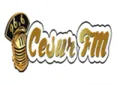 Cesur FM Cesur FM