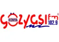 Gozyasi FM Gozyasi FM