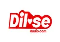 DilSe Radio DilSe Radio