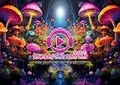Psychedelic Secrets Radio Psychedelic Secrets Radio